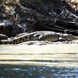 2 Day Kakadu Small Group Tour